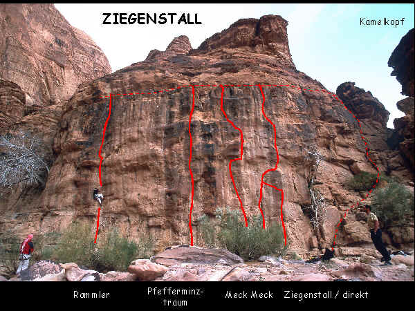 wpe2.jpg (51719 Byte)