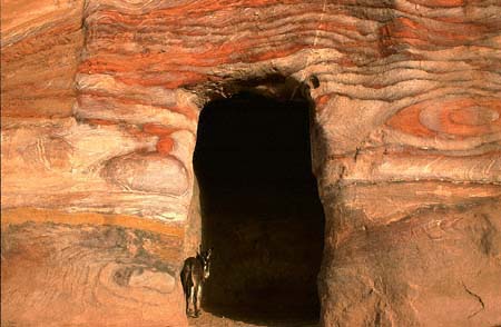 Petra-Esel