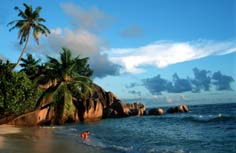 Sey-AV-98-0012-a.jpg (15180 Byte)